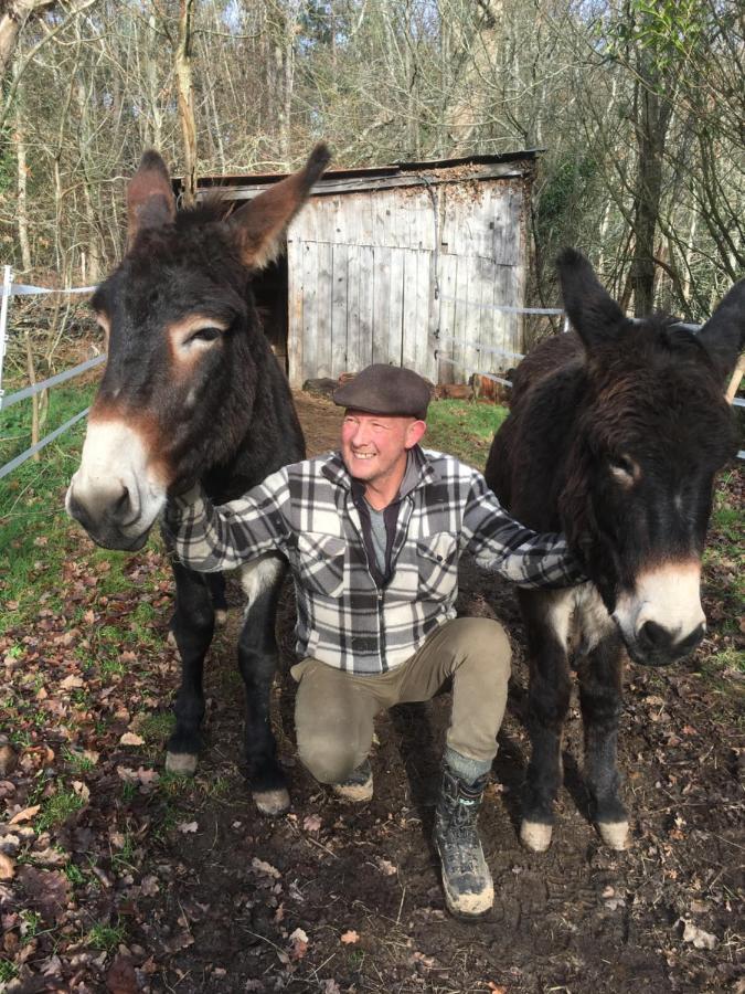 The Llama Farm France Saint-Cyr-Les-Champagnes Екстериор снимка