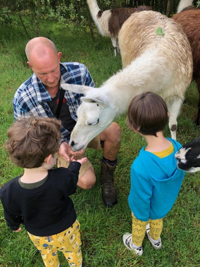 The Llama Farm France Saint-Cyr-Les-Champagnes Екстериор снимка